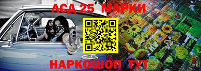 гашик Новодвинск