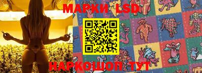 твердый Новозыбков