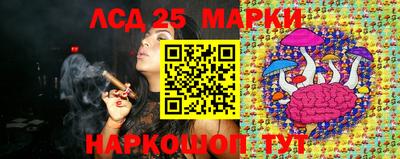 гашик Новодвинск