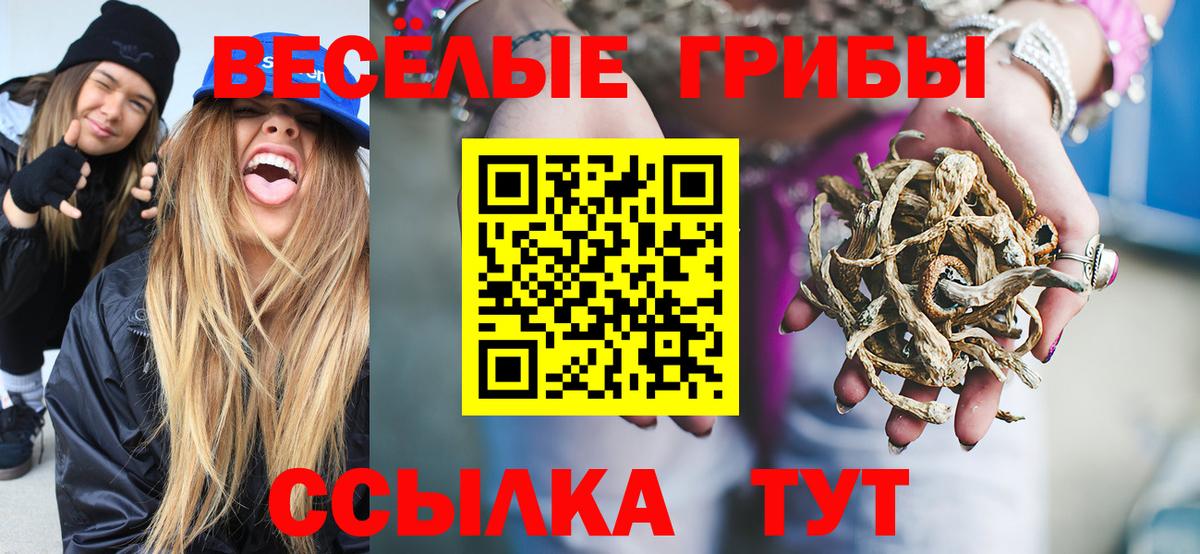 Псилоцибиновые грибы GOLDEN TEACHER  Вход с VPN  Сосновоборск 